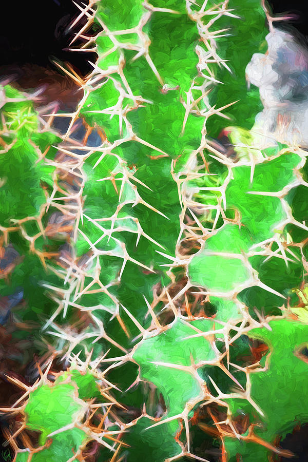 Desert Cactus and Succulents 043 Photograph by Rich Franco