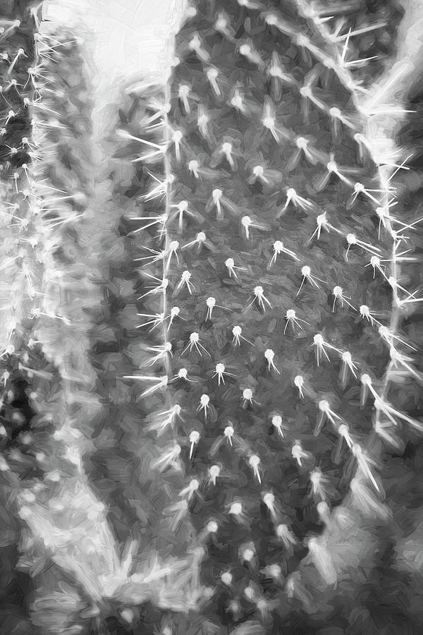 Desert Cactus and Succulents 044 Photograph by Rich Franco