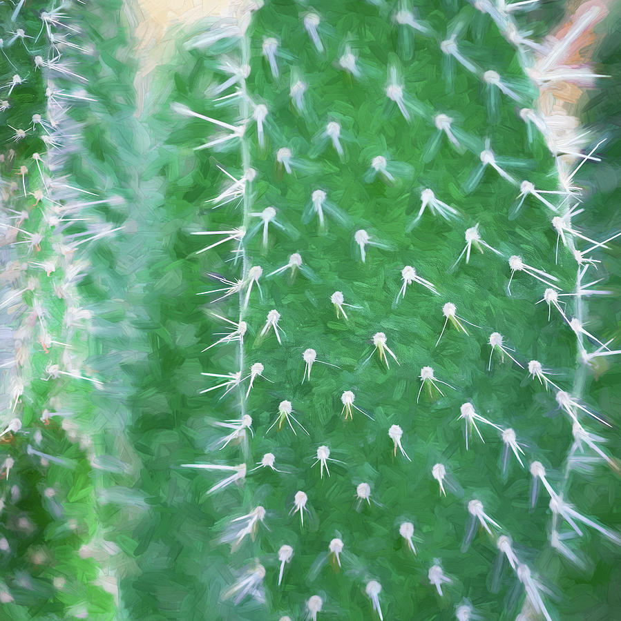 Desert Cactus and Succulents 053 Photograph by Rich Franco
