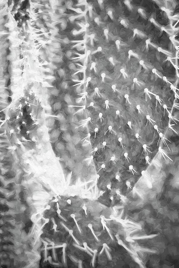 Desert Cactus and Succulents 054 Photograph by Rich Franco