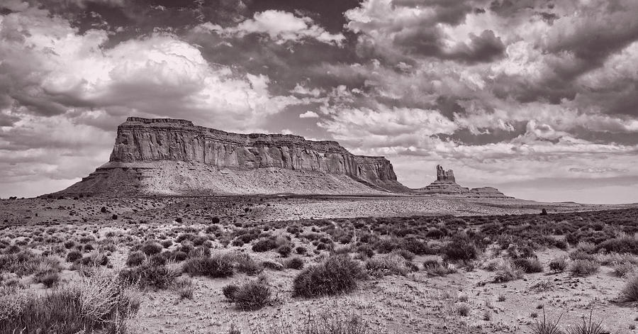 Desert Clarity Photograph by Leda Robertson