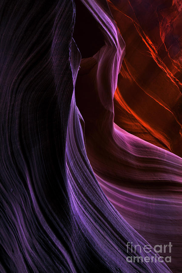 Antelope Canyon Photograph - Desert Colors by Michael Dawson