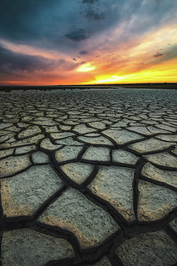 Desert Cracks Photograph by Jami Bollschweiler - Fine Art America