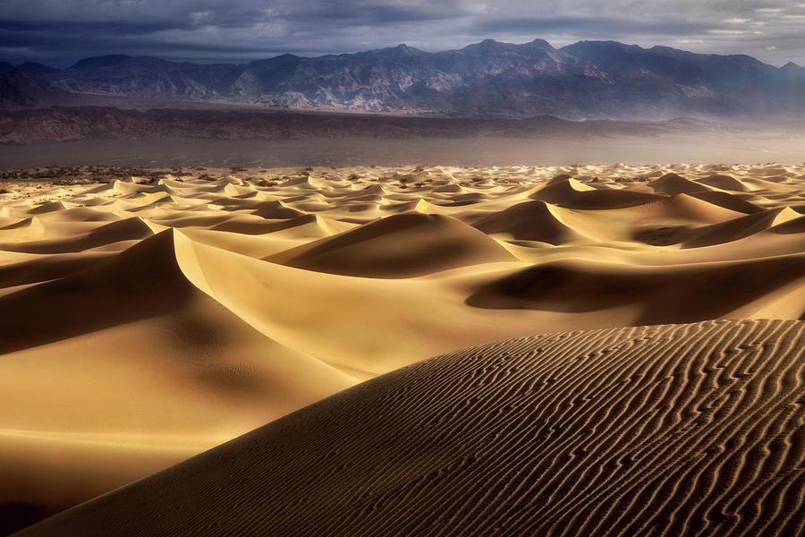 Desert Curves Photograph by Nicki Frates