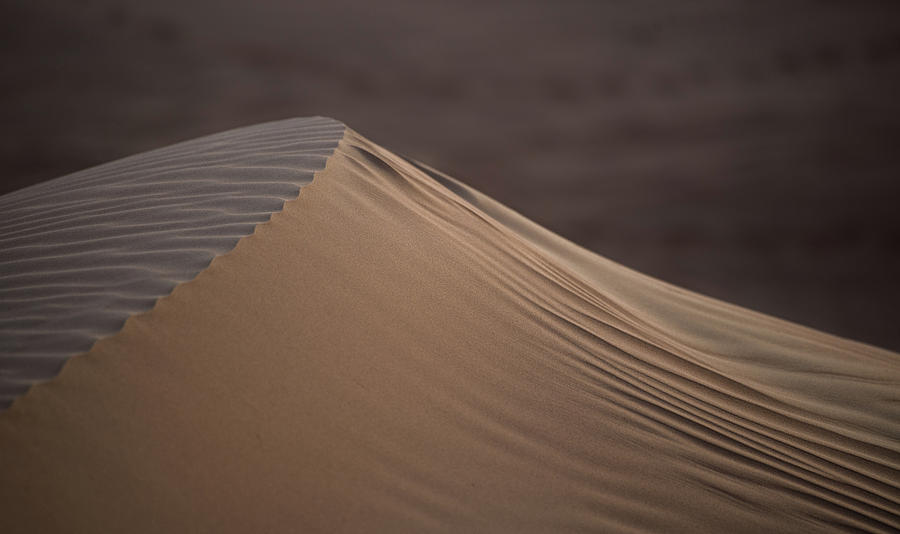 Desert Dawn Photograph by Alex Lapidus