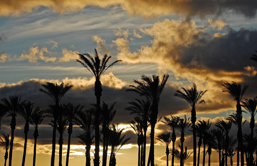 Desert Dawn Photograph by Jean Booth