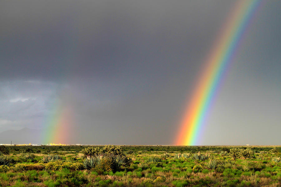 Desert Double Rainbow Photograph by Bonnie Follett
