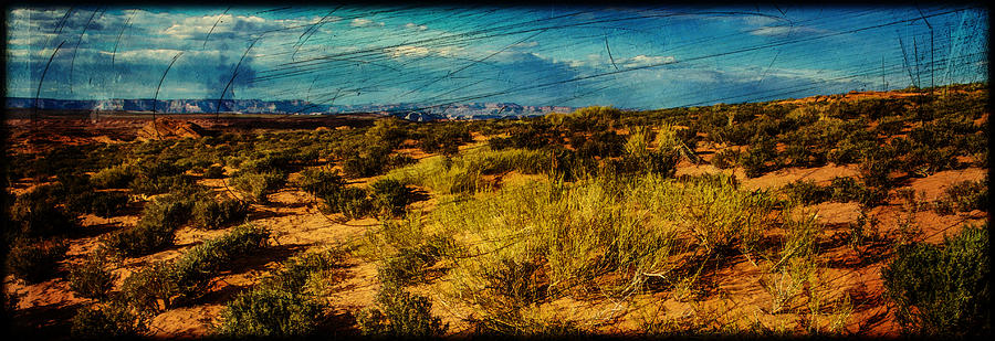 Desert Dreaming Near Page Arizona Photograph by Roger Passman