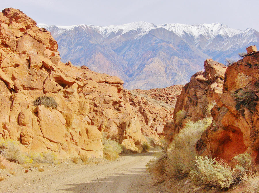 Desert Driving Photograph by Marilyn Diaz