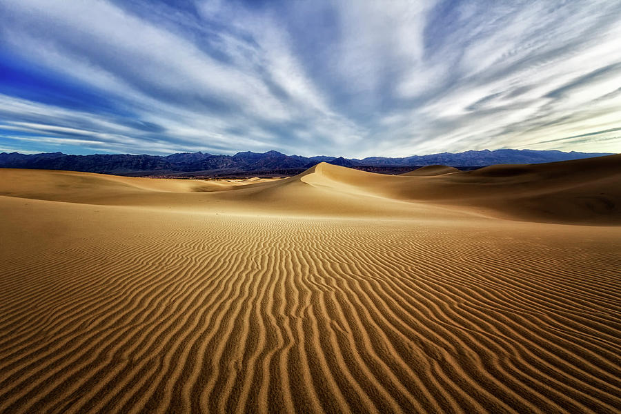 Death Valley National Park Photograph - Desert Dune Drama  by Nicki Frates