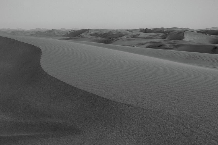 Desert Dunes Black and White Photograph by Daniel Hedges - Fine Art America
