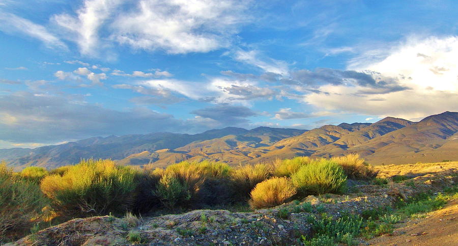 Desert Dusk Panorama Photograph by Marilyn Diaz