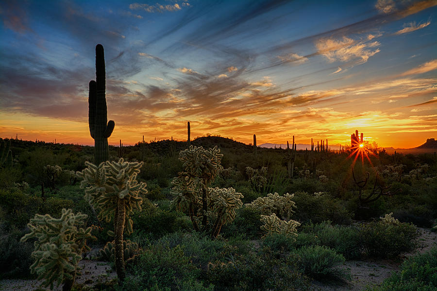 Desert Evening Light Photograph by Saija Lehtonen - Fine Art America