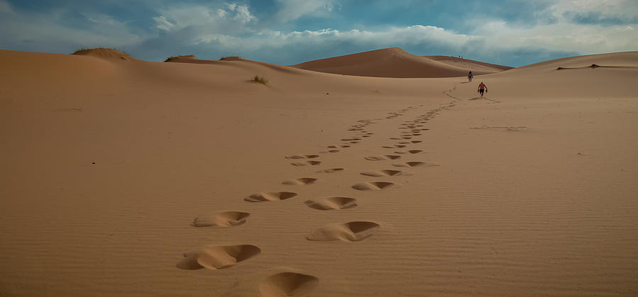 Desert Exploration Photograph by Scott Ricks - Fine Art America