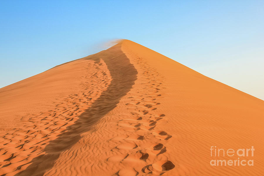 Desert Footprints Photograph by Benny Marty