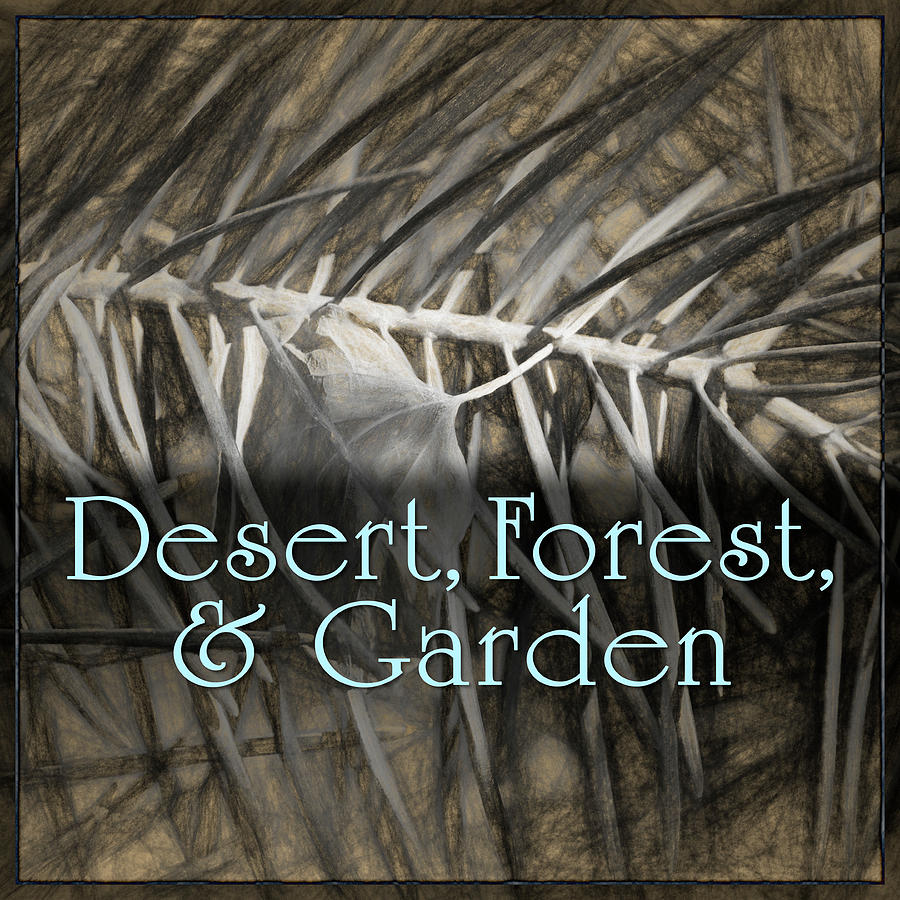 Desert - Forest - Garden Digital Art by Becky Titus