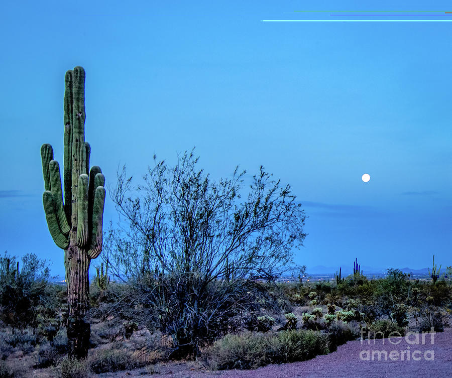Desert Full Moon Photograph by Randy Jackson