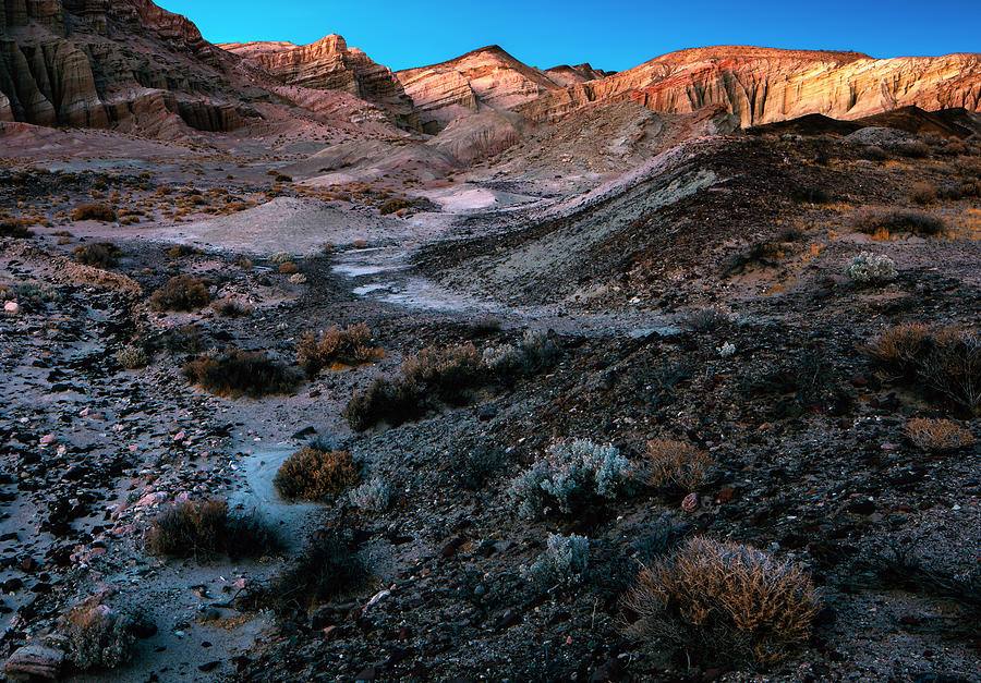 Desert Gloaming Photograph by Grant Sorenson