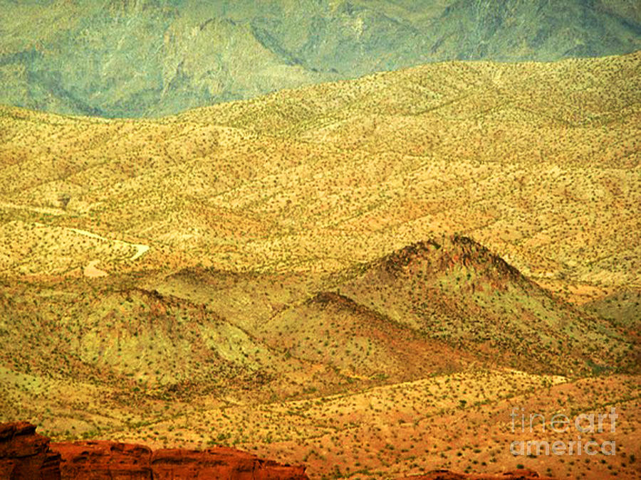Desert Glory Photograph by Angela L Walker