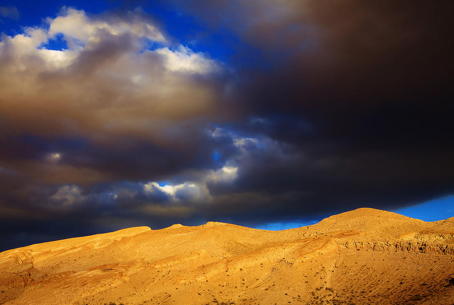 Desert Gold Photograph by Grant Sorenson