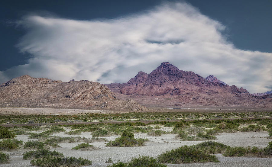 Desert Heat Photograph by Mitch Johanson - Fine Art America