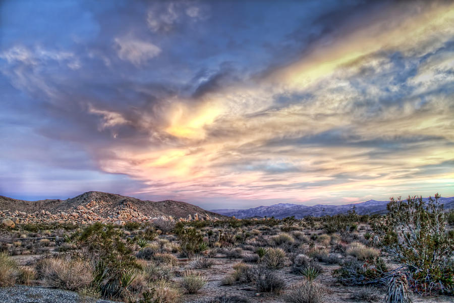 Desert Heaven Photograph by MadMethod Designs | Fine Art America