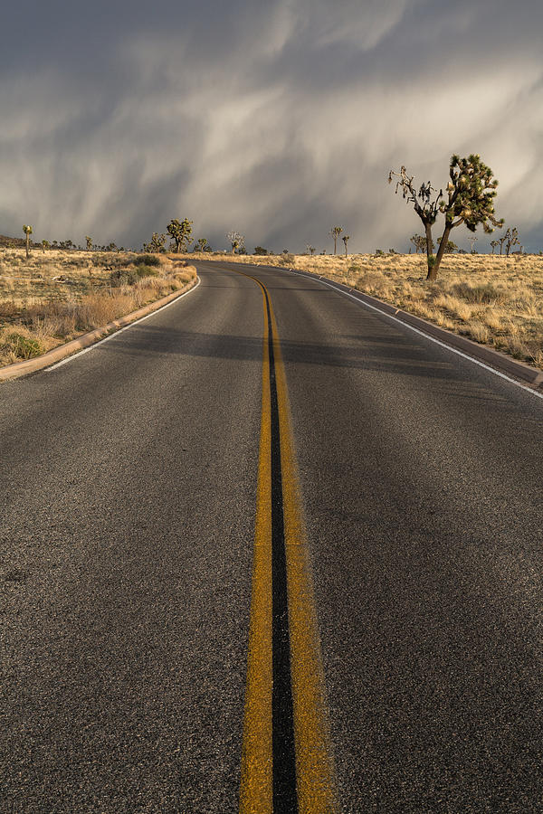 Desert Highway Photograph by John Daly