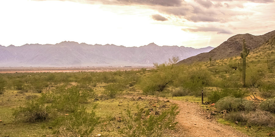 Desert Hiking Photograph by Darrell Foster
