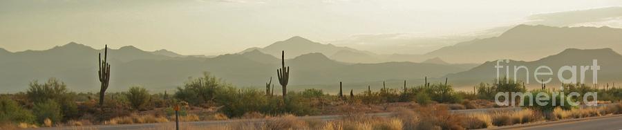 Desert Hills Photograph by Julie Lueders 