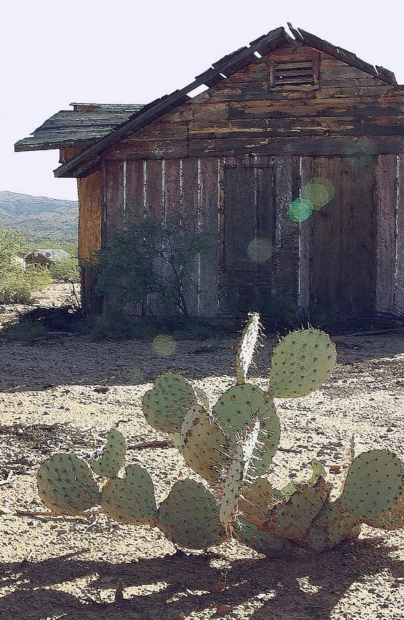 Cabin Photograph - Desert Home by Nelson Strong