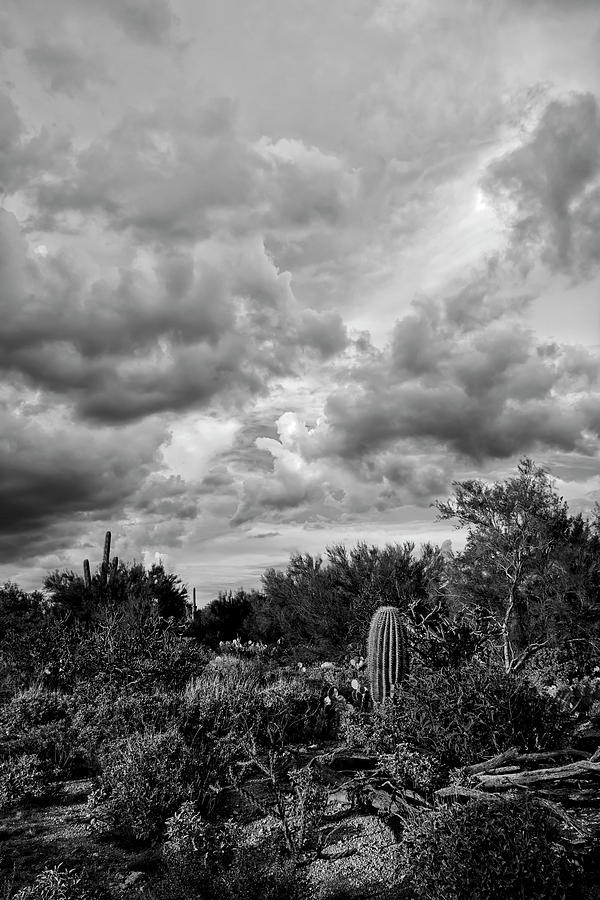 Black And White Photograph - Desert In Clouds v15 by Mark Myhaver