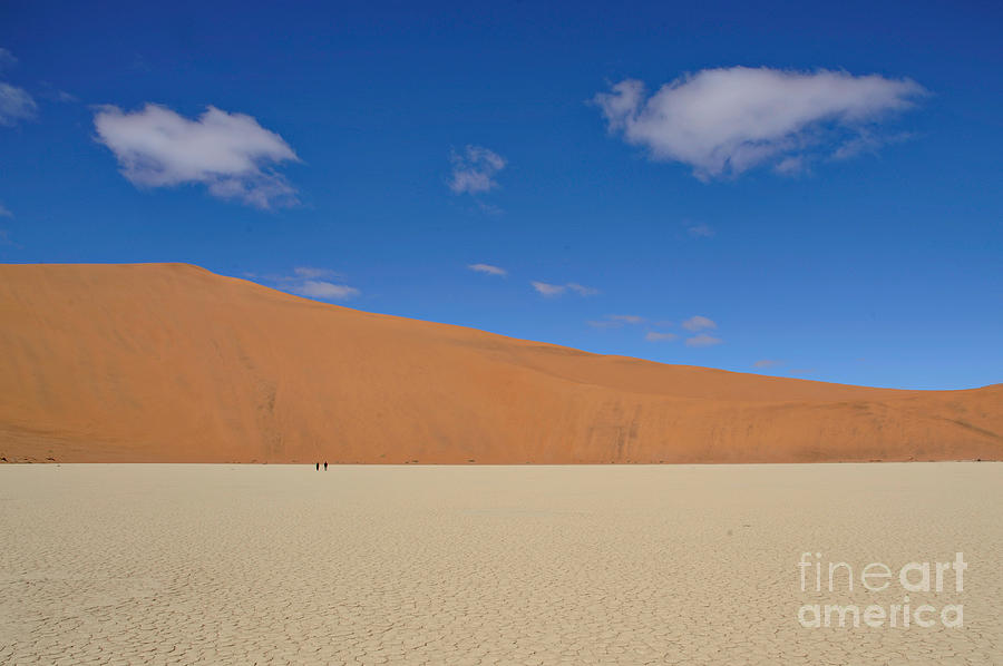 Desert In Dead Vlei Photograph by Francesco Tomasinelli