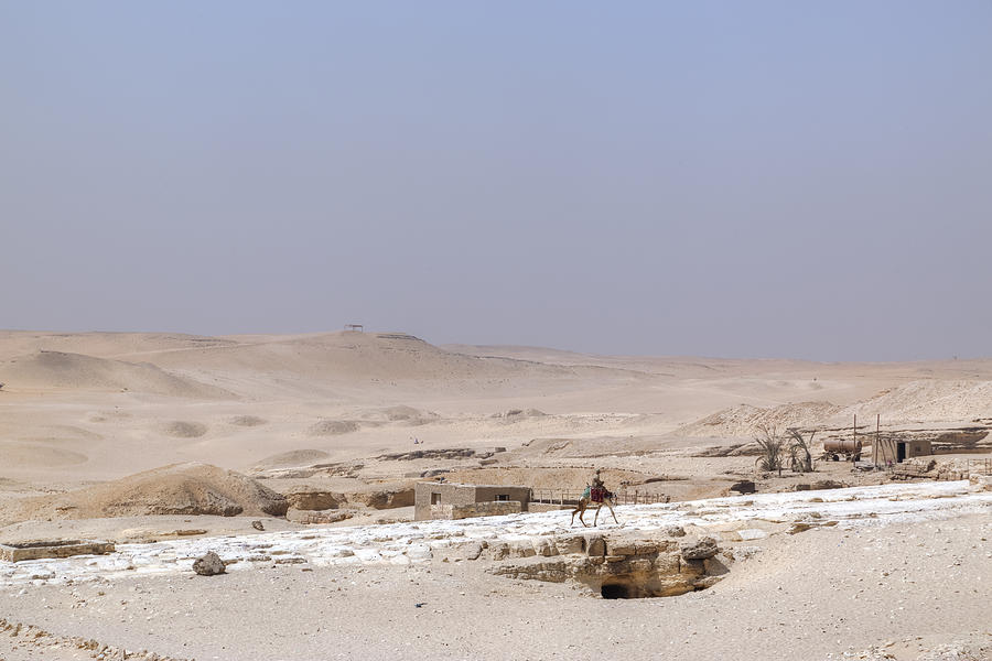 Camel Photograph - desert in Egypt by Joana Kruse