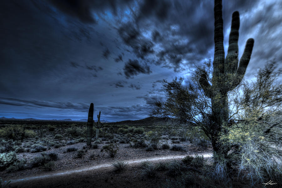 Arizona Photograph - Desert In The Moonlight by Phil And Karen Rispin