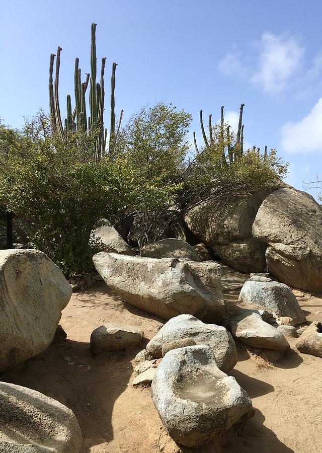 Desert Island by Gary Greer Desert Island by Gary Greer