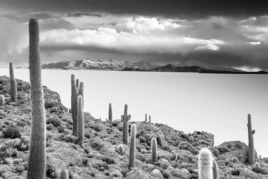 Mountain Photograph - Desert Isle by Aaron Bedell
