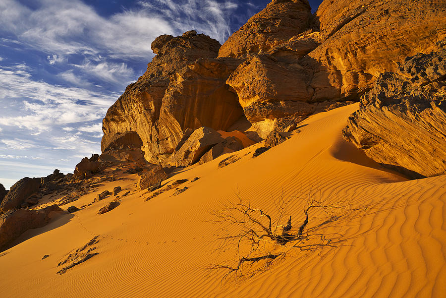 Desert Photograph by Ivan Slosar