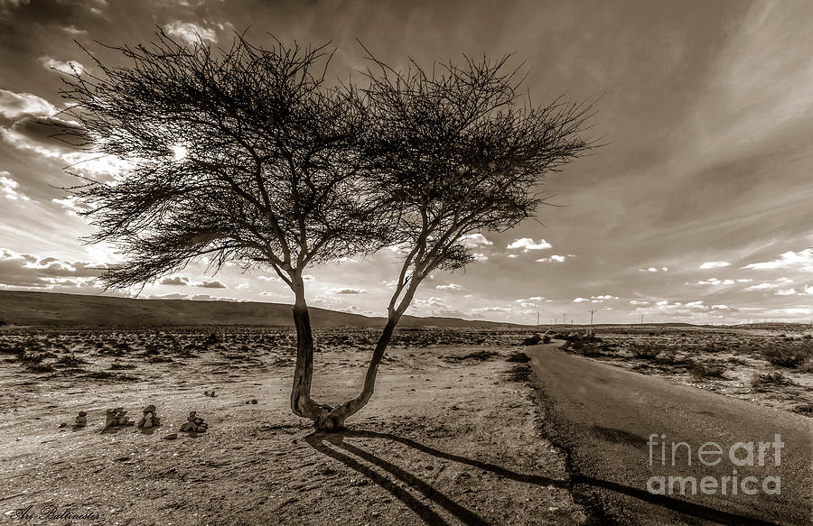 Desert landmarks  Photograph by Arik Baltinester