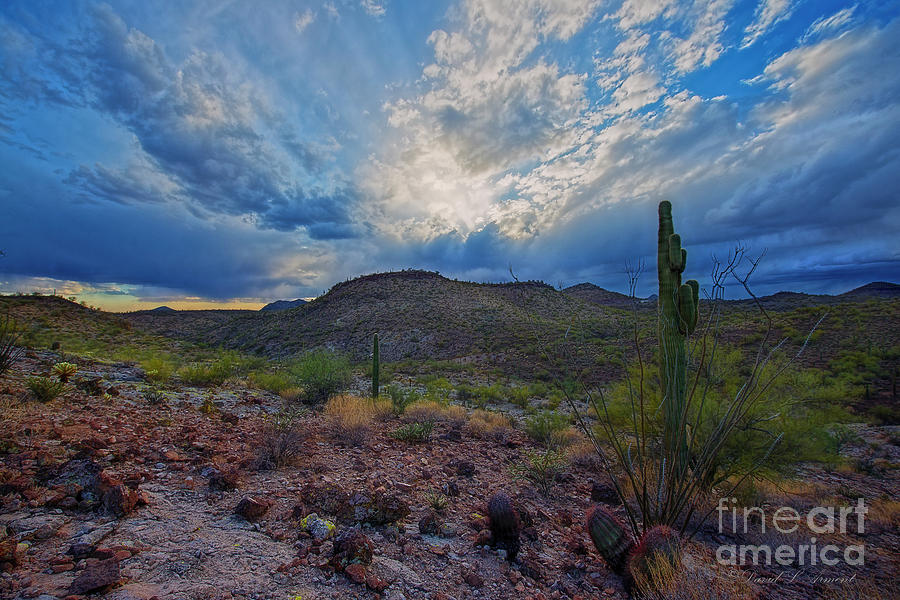 Desert Landscape at Sundown with Clouds Photograph by David Arment