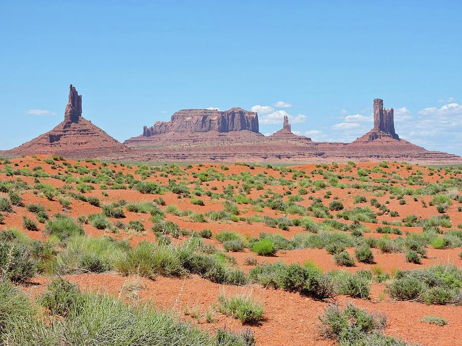 Desert Landscape Photograph by Connor Beekman