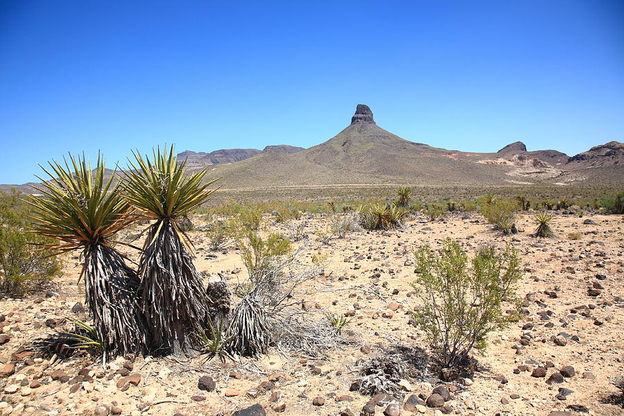 Desert Landscape Photograph by Frank Romeo