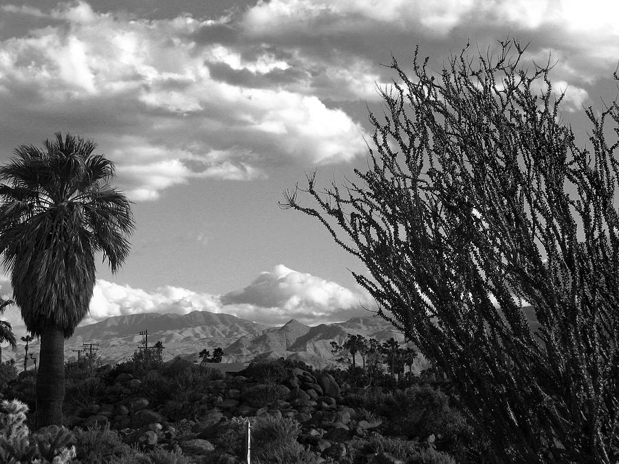 Desert Landscape II Photograph by Joanne Coyle