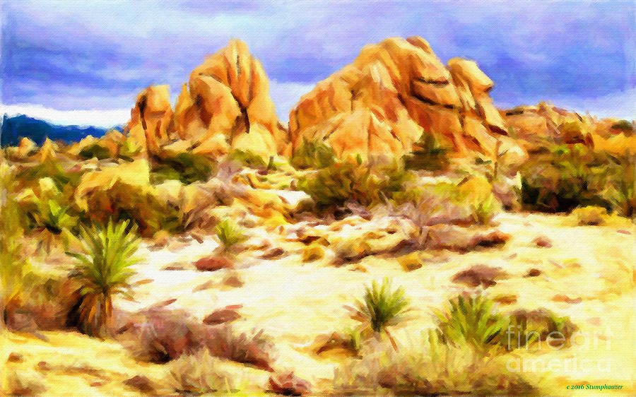 Desert Landscape Photograph
