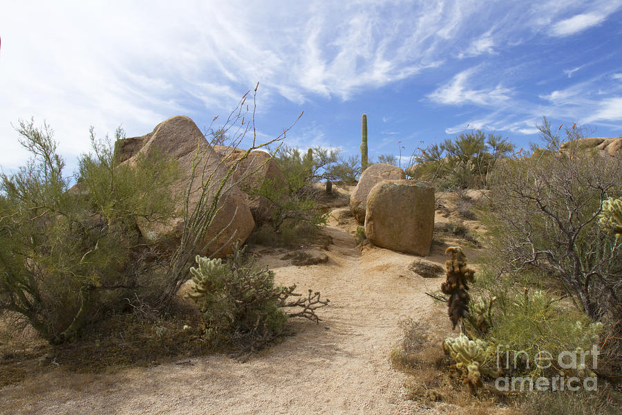 Desert Landscape Photograph by Karen Foley