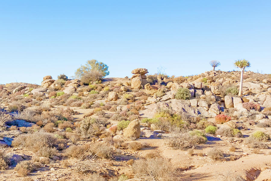 Desert landscape near Kliprand in South Africa Photograph by Marek ...