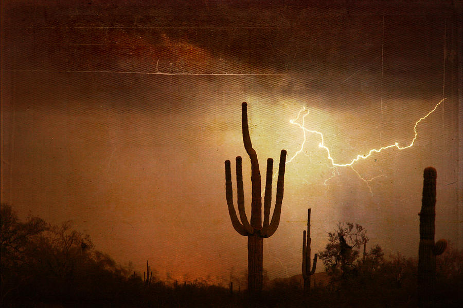Desert Landscape Southwest Photograph by James BO Insogna