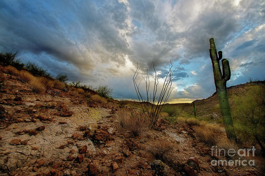 Desert Landscape with Clouds Photograph by David Arment