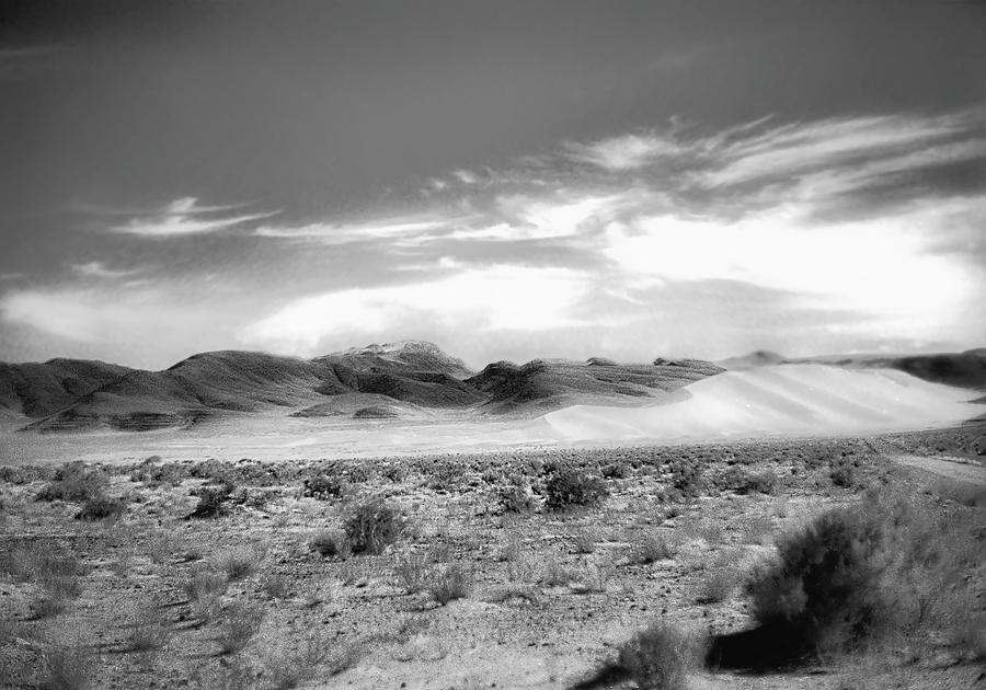 Desert Light 060 Photograph by Susan Crowell