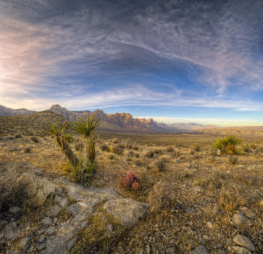 Nature Photograph - Desert Light by Stephen Campbell