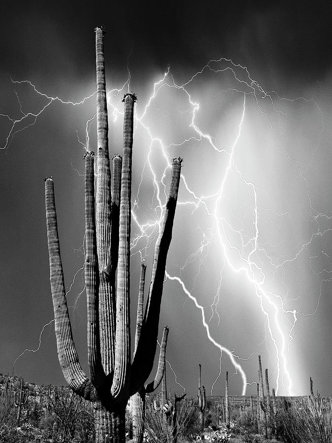Desert Lightning Photograph by Dominic Piperata